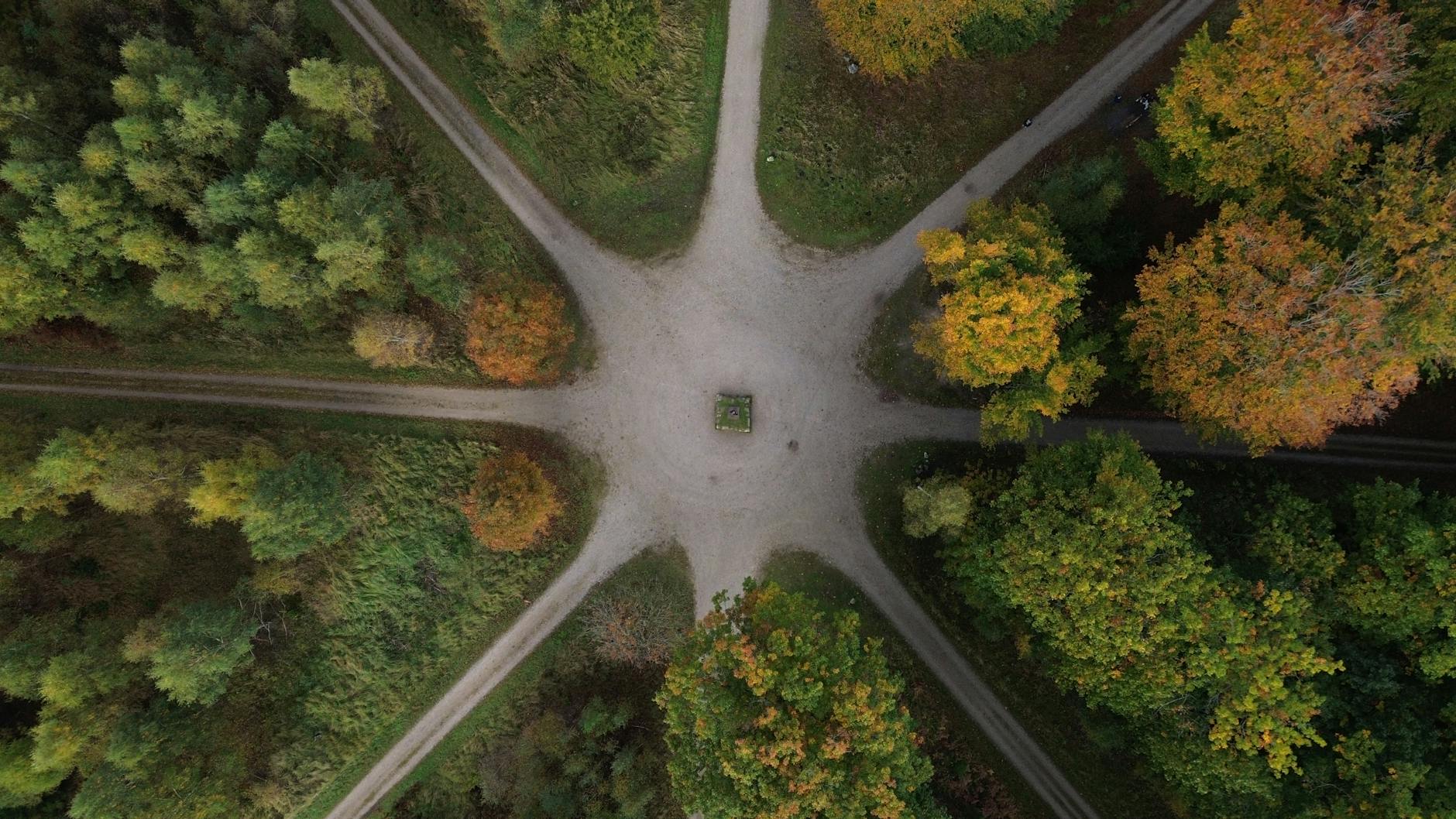 aerial view of forest path intersection in autumn